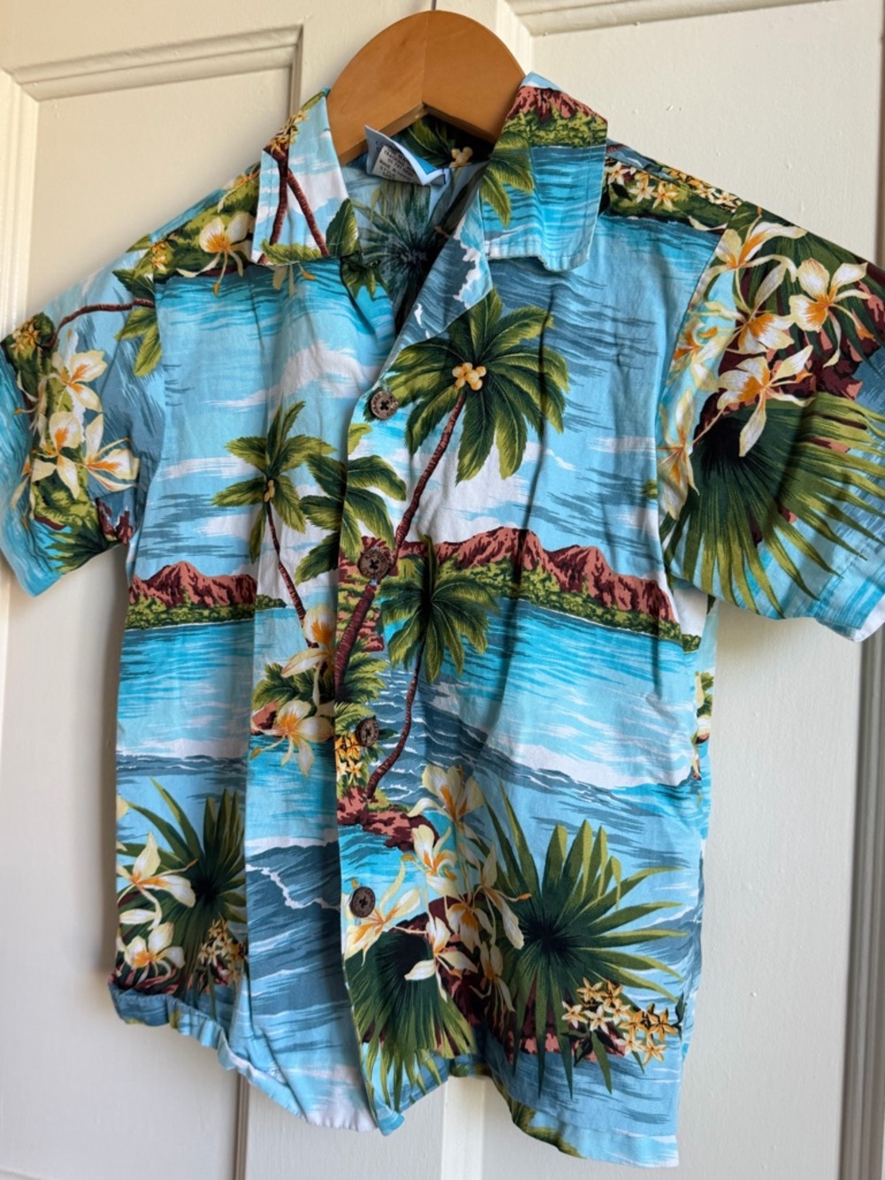 RJC button down